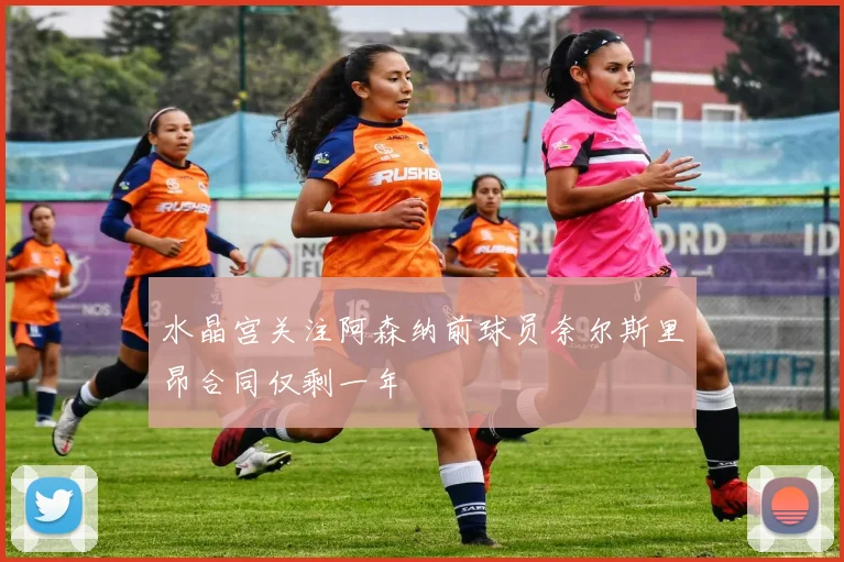 水晶宫关注阿森纳前球员奈尔斯里昂合同仅剩一年